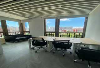 吉林全价城镇绿化苗哪些种类