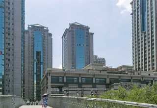 苏州仿真恐龙咨询报价