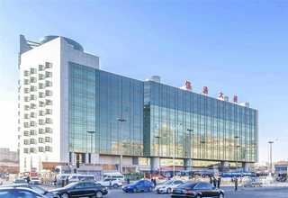 酒店植物出租供应